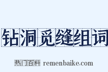 钻洞觅缝组词是什么意思的图片